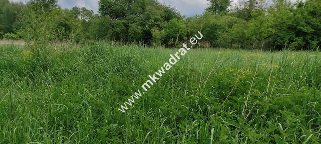 Budowlana Wolka Zaborowska z MPZP! Okazja!