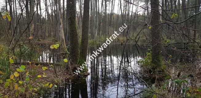 Malownicza działka siedliskowa 13.700m2