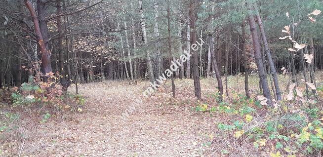 Malownicza działka siedliskowa 13.700m2