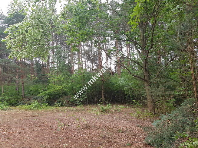 Okolice Grodziska Maz 1600m2 od mkwadrat.eu