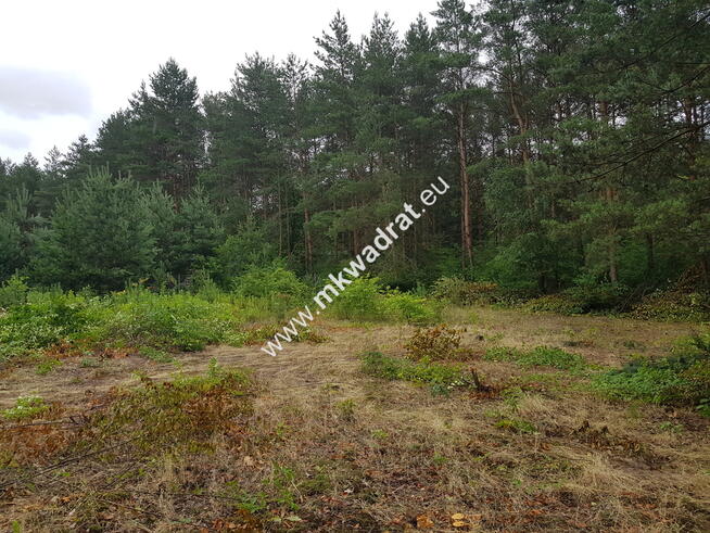 Okolice Grodziska Maz 1600m2 od mkwadrat.eu