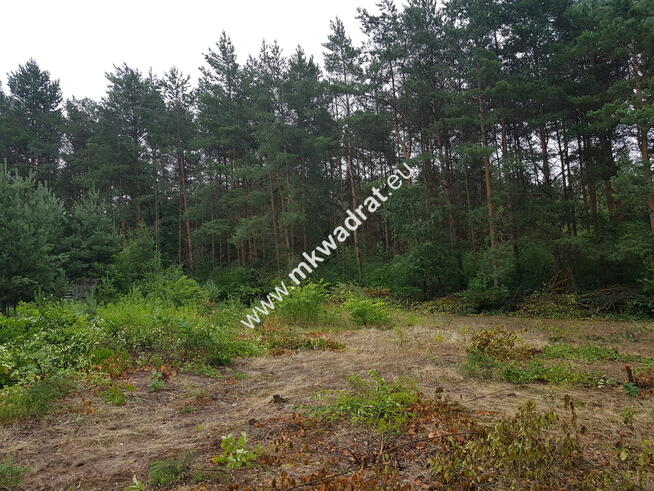 Okolice Grodziska Maz 1600m2 od mkwadrat.eu