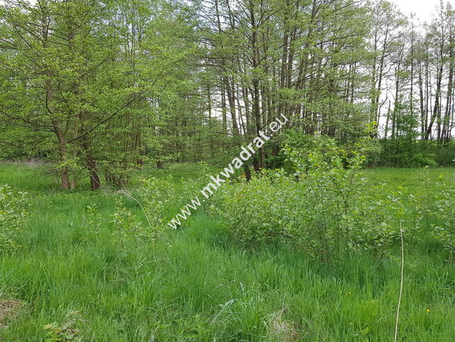 Działka z dostępem do rzeczki | możliwość podziału