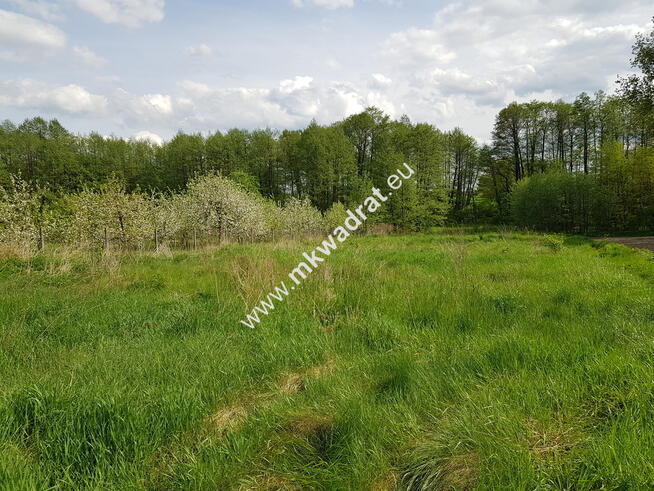 Działka z dostępem do rzeczki | możliwość podziału