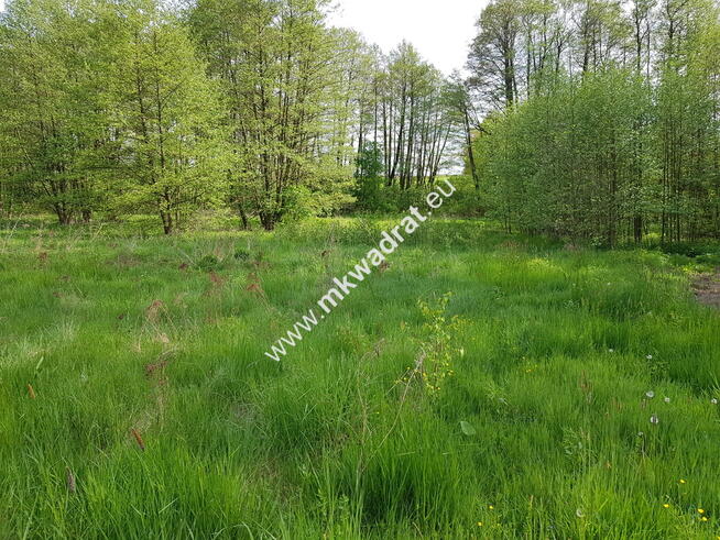 Działka z dostępem do rzeczki | możliwość podziału