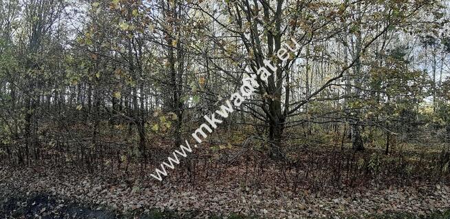 Atrakcyjna działka budowlana w Szczęsnym