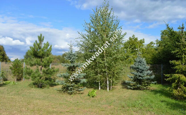 Atrakcyjna działka dla inwestora Wilanów