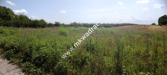 ⭐⭐⭐⭐ Okazja Działka 19000m2 z warunkami zabud!⭐⭐⭐⭐