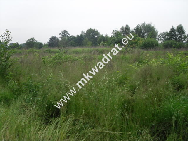 ⭐⭐⭐⭐ Okazja Działka 19000m2 z warunkami zabud!⭐⭐⭐⭐