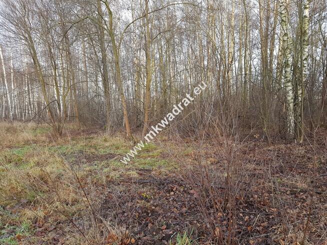 Super działka z planem i mediami w otulinie lasu !