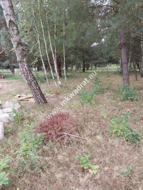 Działka, cicha, MPZP, Osowiec