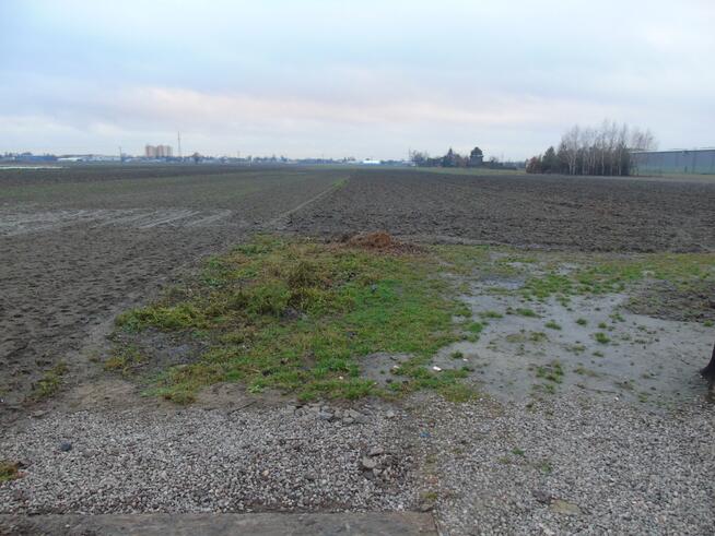 Dom Jednorodzinny , zaplecze ogrodnicze pow 4980m2