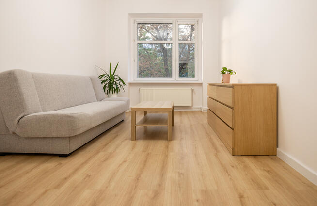 Od zaraz_2 oddzielne pokoje na Ołbinie