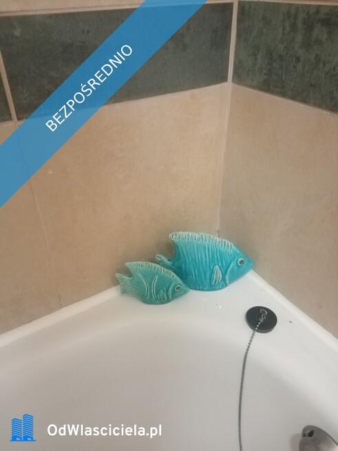 Artystyczne dla ceniących spokój