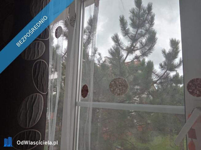 Artystyczne dla ceniących spokój