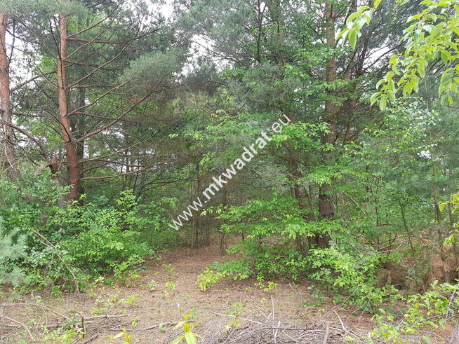 Działka 2000m 2 Musuły Okazja !!