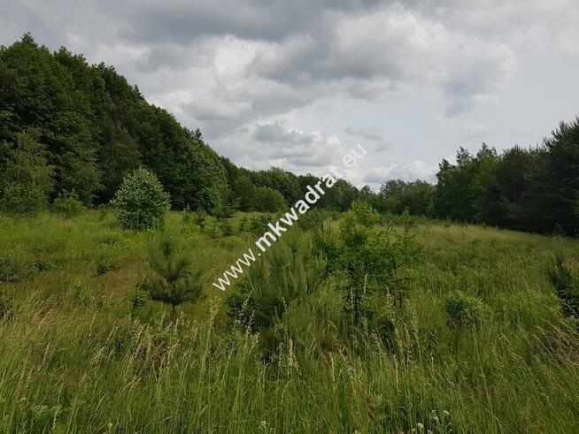 działka inwestycyjna powyżej 1 ha