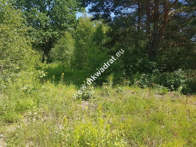 Czarny Las 1825m2 z Planem Zagospodarowania Media!