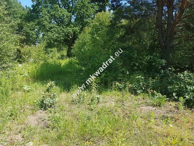 Czarny Las 1825m2 z Planem Zagospodarowania Media!