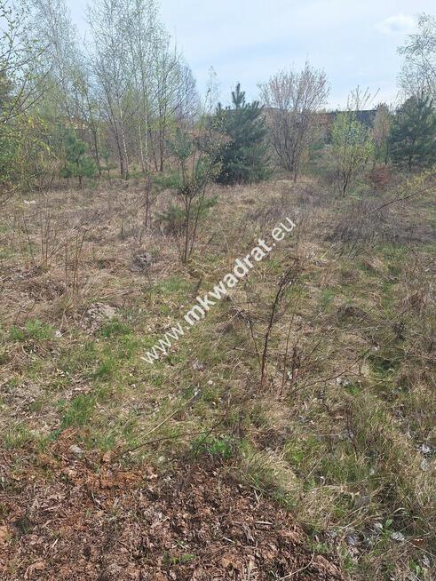 Ładna działka wśród nowej zabudowy