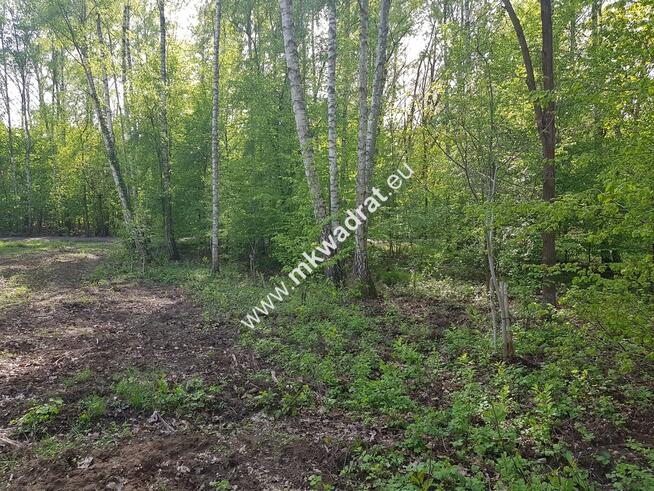 Działka CRP - ZGODNIE Z PLANEM ZAGOSPODAROWANIA