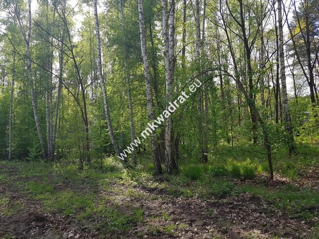 Działka CRP - ZGODNIE Z PLANEM ZAGOSPODAROWANIA