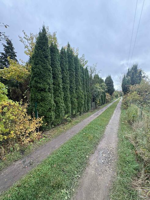 Działka rolna Poznań, Droga Dębińska