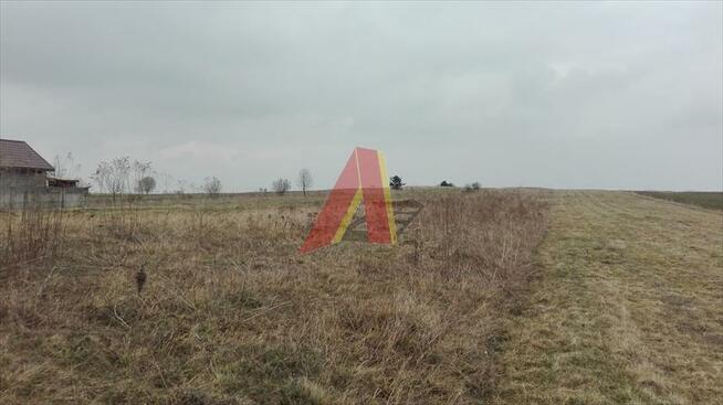 Działka budowlana Czubrowice gm. Jerzmanowice-Przeginia, Czubrowice