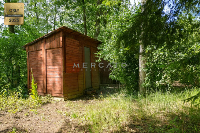 Działka rekreacyjna Błędowo gm. Pomiechówek,