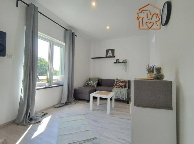 Wynajmę kawalerkę pet friendly, Centrum, Reja 13