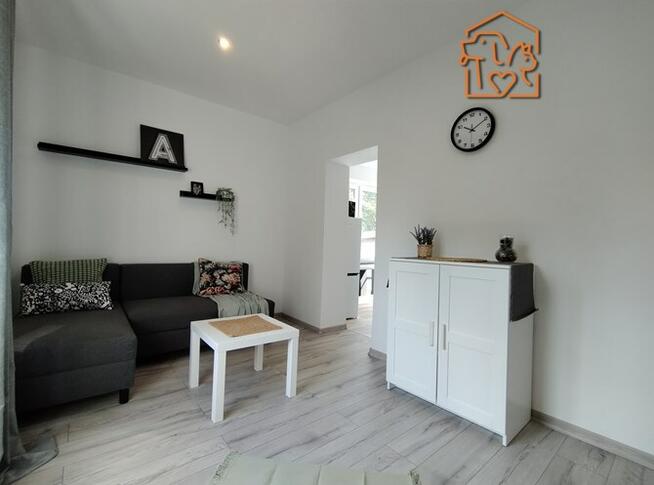 Wynajmę kawalerkę pet friendly, Centrum, Reja 13