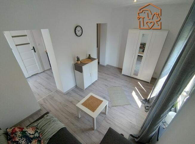 Wynajmę kawalerkę pet friendly, Centrum, Reja 13