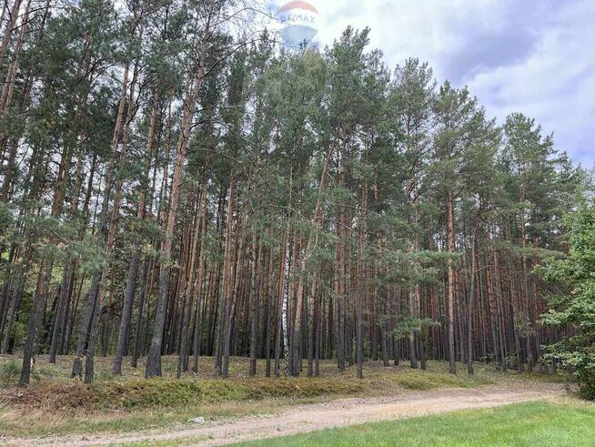 Działka siedliskowa