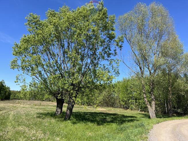 Działka siedliskowa