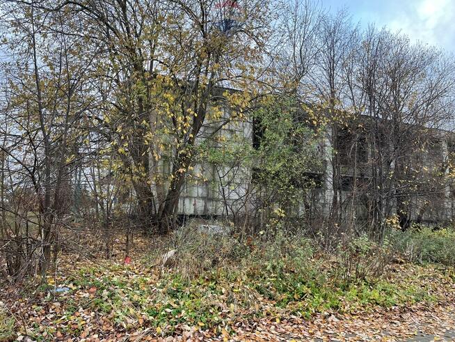 Działka inwestycyjna w Bezledach