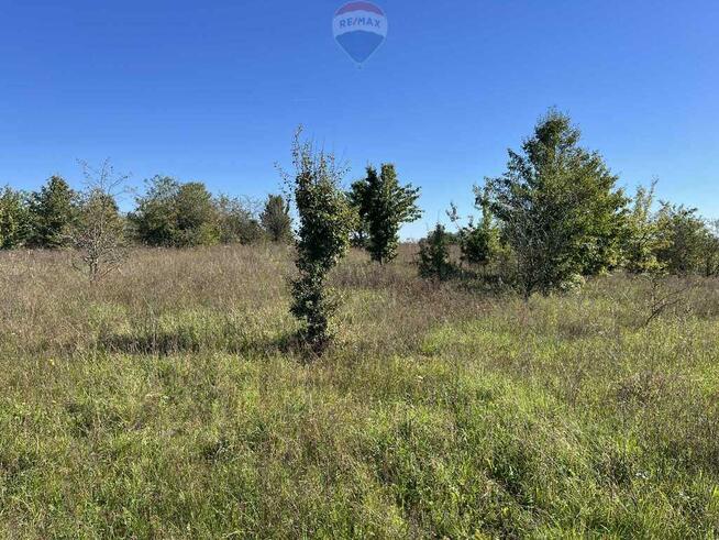 Działka na Mazurach - 3 chwile do jeziora