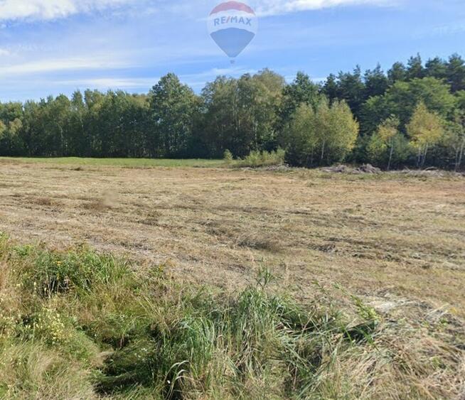 Działka siedliskowa w Pustelniku