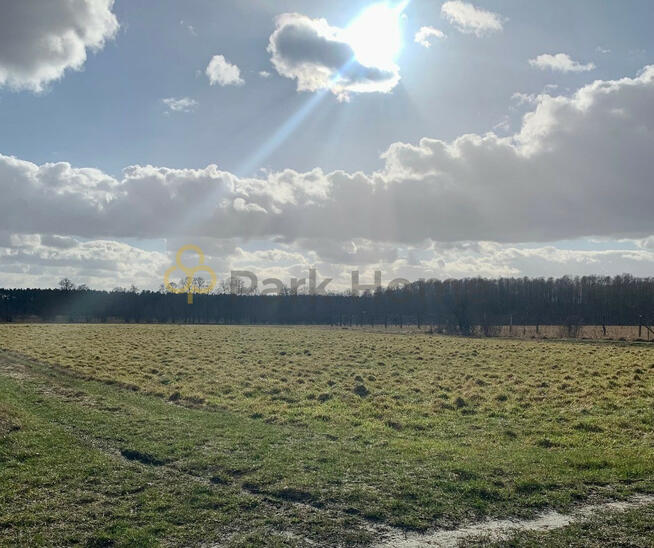 Działka budowlana Nowa Sól Lubieszów,