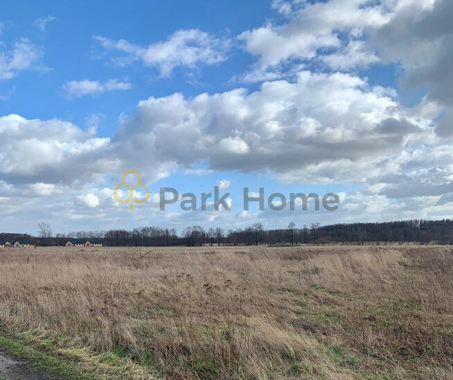 Działka budowlana Nowa Sól Lubieszów,