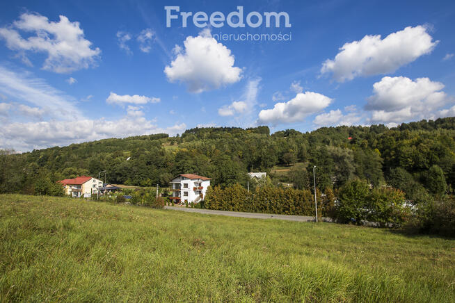 Działka budowlana z widokiem | 41 ar w Cieszynie