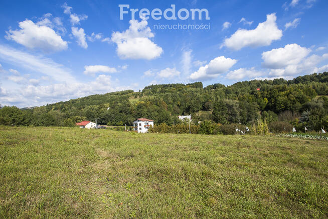 Działka budowlana z widokiem | 41 ar w Cieszynie