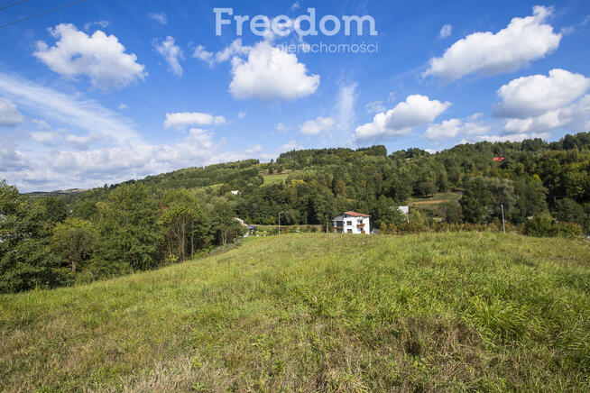 Działka budowlana z widokiem | 41 ar w Cieszynie