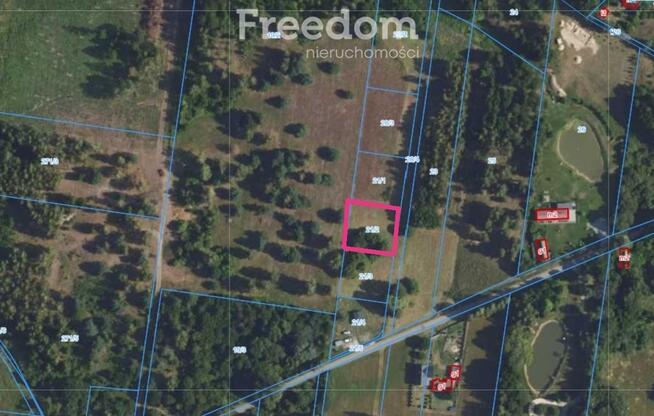 Stare Budy Radziejowskie -1200m2 - prąd!