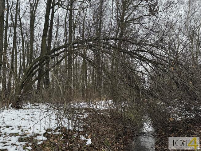 Działka rolno-budowlana Szarwark gm. Dąbrowa Tarnowska
