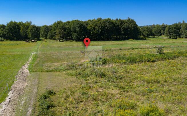 Działka budowlana Jodłówka gm. Rzezawa