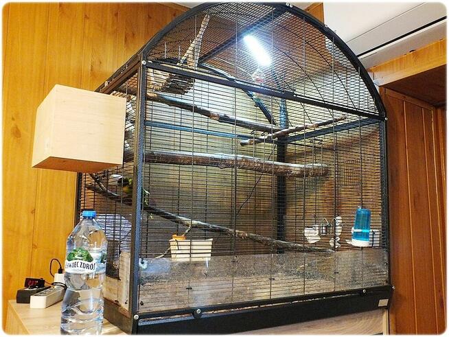 Ogromna Duża Klatka - Woliera + Papugi parka lęgowa Modrolo