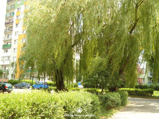 Rozkładowe M3 (46) z balkonem loggia, WIDZEW WSCHÓD