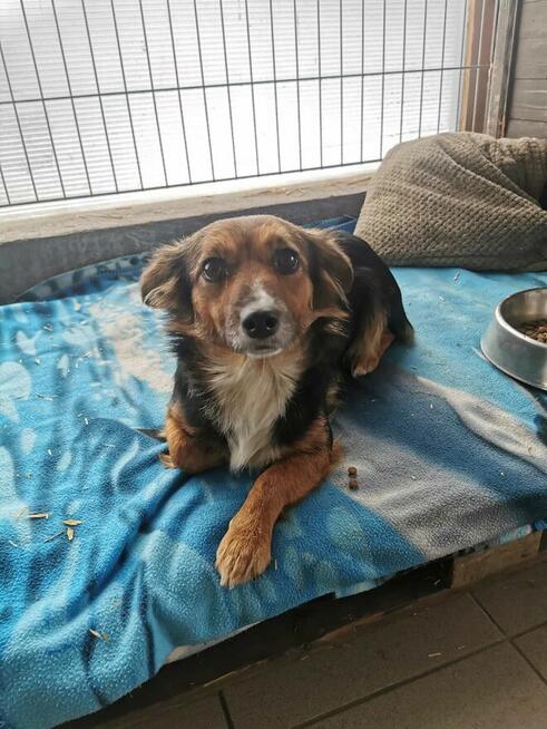 Abi i Neo szukają domu