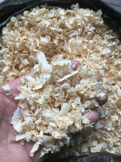 Ściółka dla zwierząt, trociny, wióry odpylone, paleta 18 opk