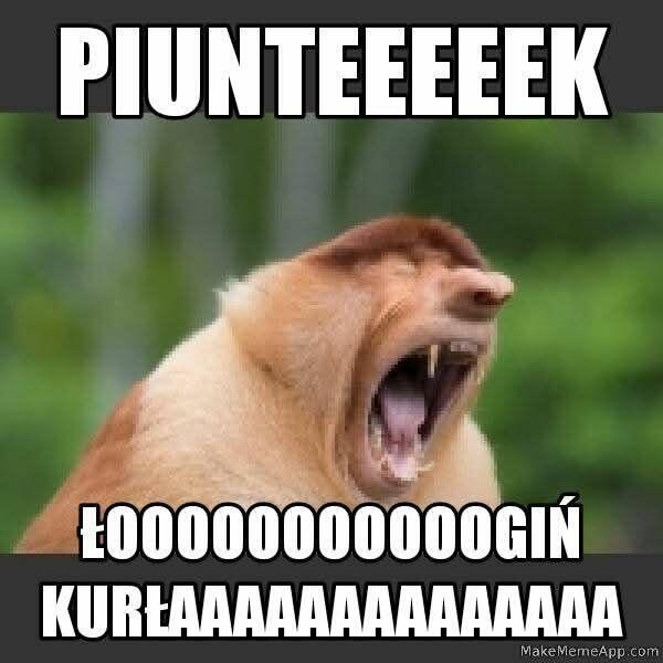 Poszukuję pracy fizycznej otwock